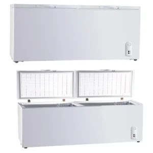Chest Freezer (SBD-600)